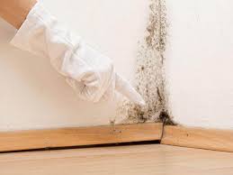 Best Mold Removal for HVAC Installations  in Reedsburg, WI